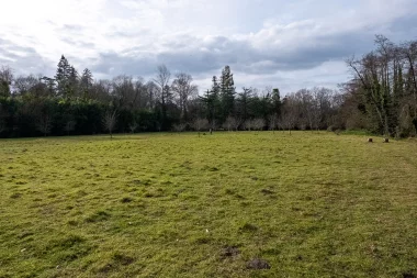 Parc de Bourran de Merignac (10).